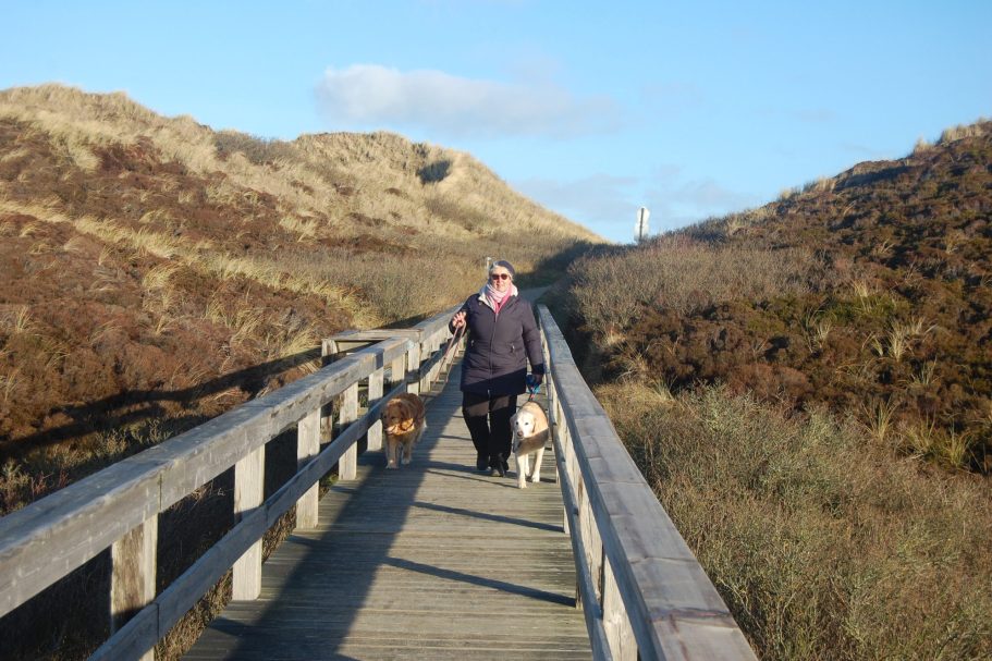 Urlaub mit Hund